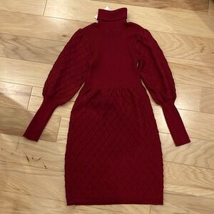 Solid red wine color Sweater dress with high neck.
